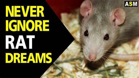 Exploring the Emotional Impact of Rat Dreams