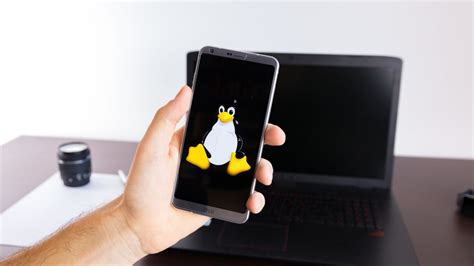 Exploring the Feasibility of Linux Installation on a Smartphone