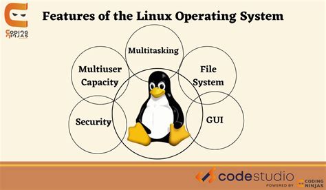 Exploring the Fundamentals of the Linux Operating System