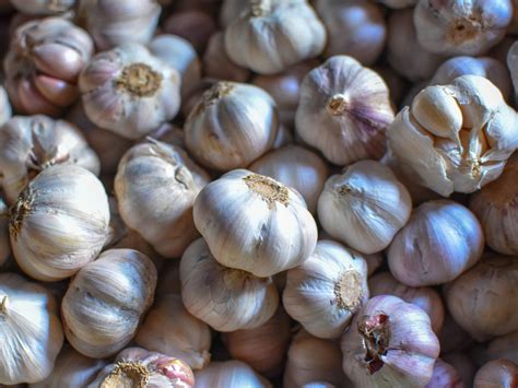 Exploring the Gathering of Garlic Heads in Dream Interpretation