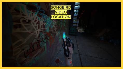 Exploring the Hidden Messages of an Amusing Songbird Vision