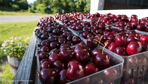 Exploring the Inner Workings of a Perfectly Ripe Cherry