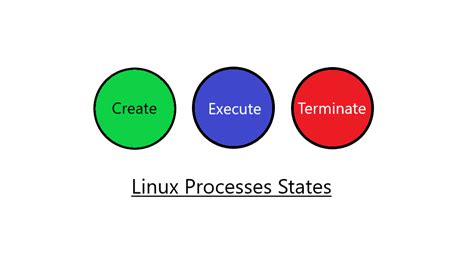 Exploring the Insights of Linux Processes