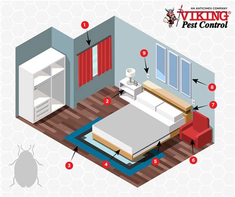 Exploring the Integration of Biological Control in Bedbug Management