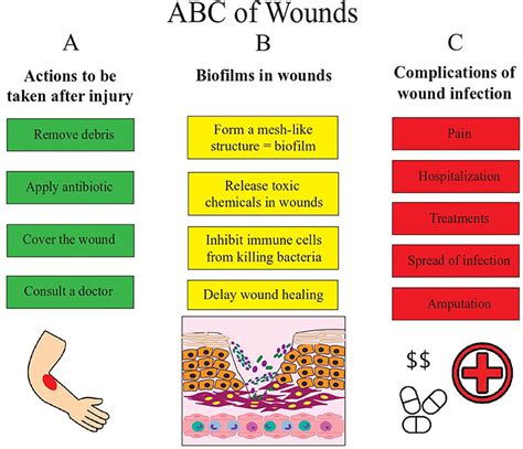 Exploring the Interpretation of an Infected Wound in a Vision