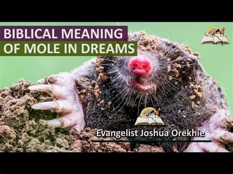 Exploring the Intricate Symbolism of a Dream Mole