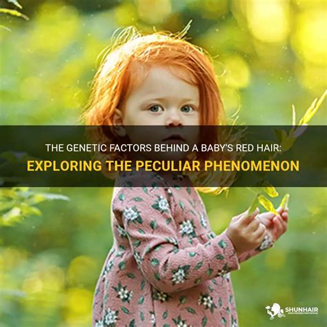 Exploring the Meaning behind the Peculiar Phenomenon