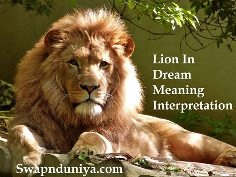 Exploring the Meaning of the Lion in Dreams