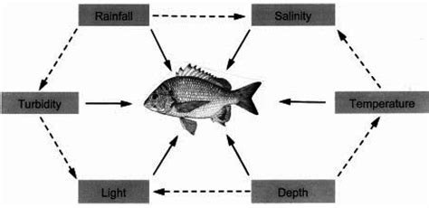 Exploring the Numerous Factors Influencing the Phenomenon of Fish Jumping