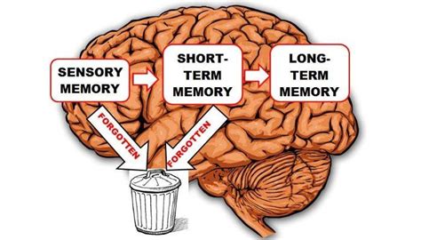 Exploring the Past: Understanding the Significance of Memories