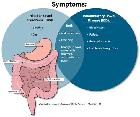 Exploring the Potential Health-related Significance of Dreams Involving Intestinal Movements