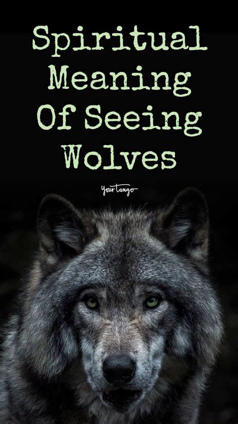 Exploring the Potential Meanings of Dreaming of a Protective Wolf