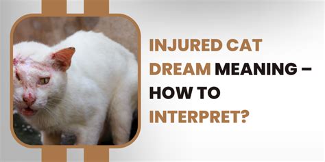 Exploring the Potential Significance of an Injured Feline Manifesting in One's Dream