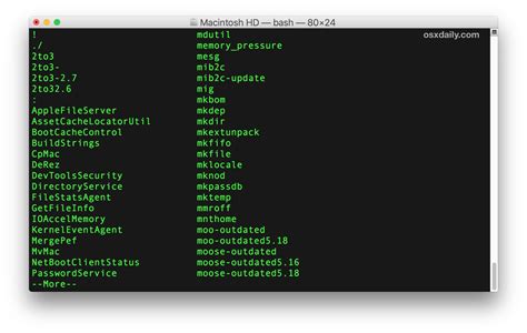 Exploring the Powerful Command Line Environment on Your Mac