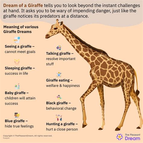 Exploring the Profound Psychological Analysis of Dreaming about Giraffes