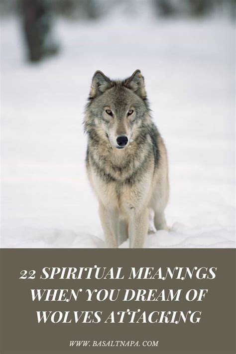 Exploring the Profound Symbolic Significance of Wolves in the Dreams of Bereaved Women