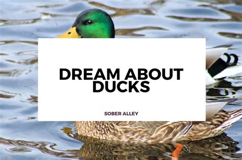 Exploring the Psychological Aspects of Dreams Involving Ducks and Ducklings