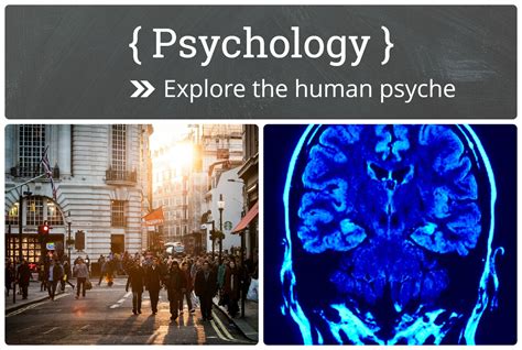 Exploring the Psychological Dimensions: delving into the depths of the human mind