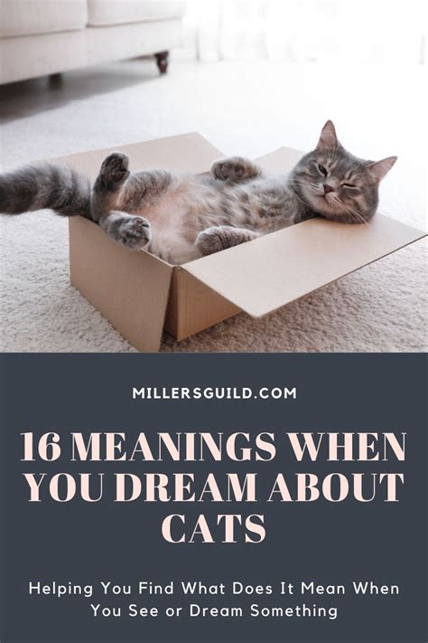 Exploring the Psychological Implications of Women Dreaming About Cats