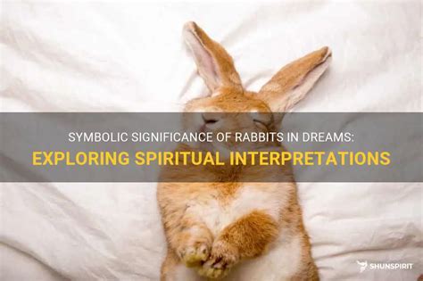 Exploring the Psychological Significance of Dreaming about an Enormous Bunny