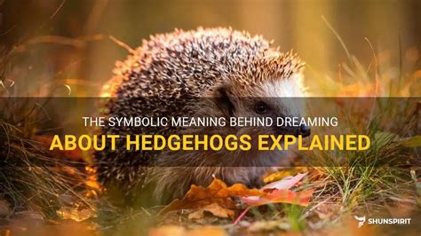 Exploring the Psychological Significance of Hedgehog Dreams