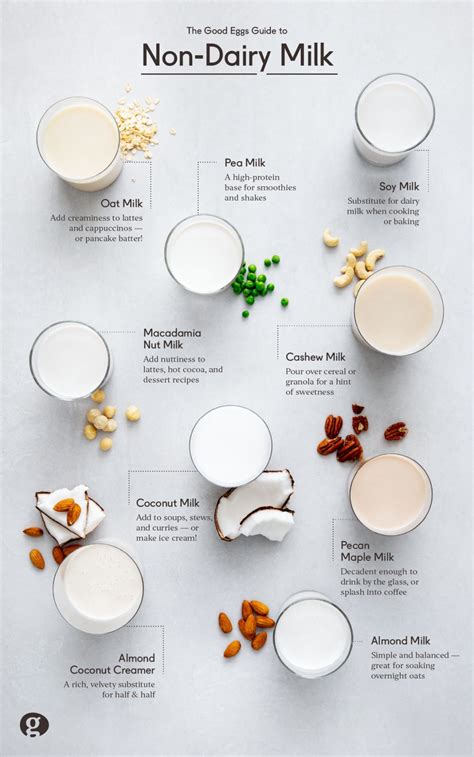 Exploring the Range of Milk Alternatives: Finding the Perfect Pairing for Your Coffee