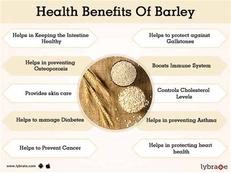 Exploring the Role of Barley in Traditional Medicine