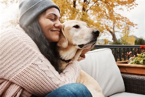 Exploring the Role of Canine Companionship