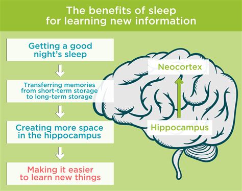 Exploring the Science behind Audio-Enriched Sleep Learning