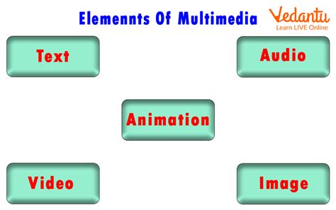 Exploring the Significance and Role of Multimedia Devices