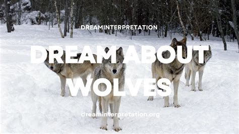 Exploring the Significance of Being Pursued by Wolves in Dreams