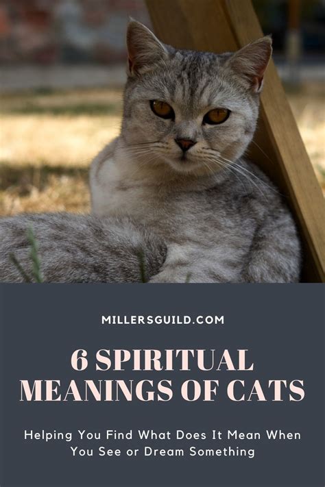 Exploring the Significance of Cat Symbolism