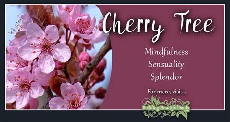 Exploring the Significance of Cherry Tree Dreams in Relation to Growth and Abundance