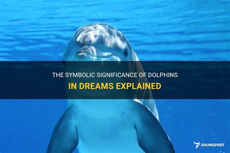 Exploring the Significance of Dolphins in Dreams: A Reflection of the Need for Connection and Social Interaction