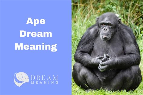 Exploring the Significance of Dreaming About a Human-Like Ape