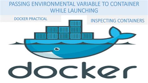 Exploring the Significance of Environment Variables in the Docker Ecosystem