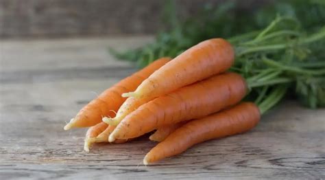 Exploring the Significance of Freshly Grated Carrots in Dream Interpretation