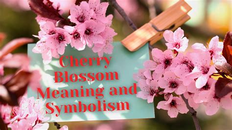 Exploring the Significance of Growth and Renewal Symbolism in Envisioning a Verdant Blossom