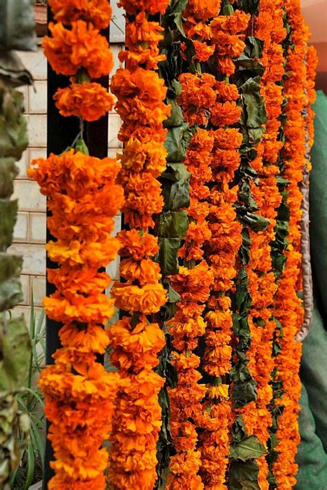 Exploring the Significance of Memorial Garlands in Diverse Cultural Traditions