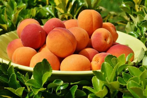 Exploring the Significance of Peaches in Your Dream World