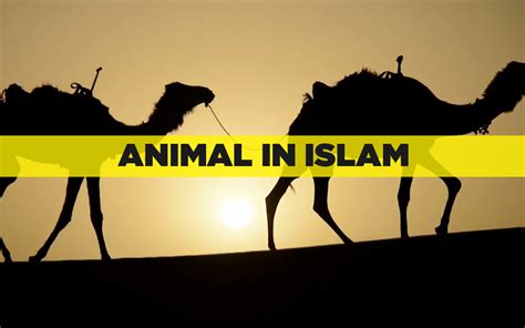 Exploring the Significance of a Certain Animal in Islamic Visionary Experience