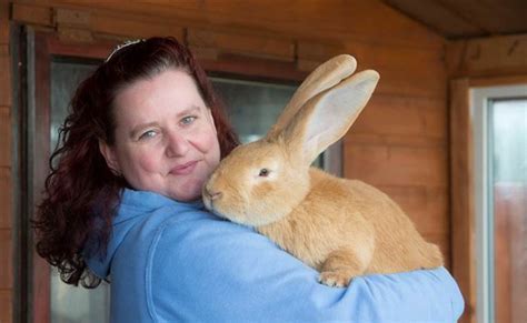 Exploring the Significance of a Colossal Bunny in Your Sleep'€™s Imagery