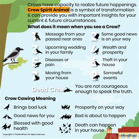 Exploring the Significance of a Crow's Presence in your Home Dream