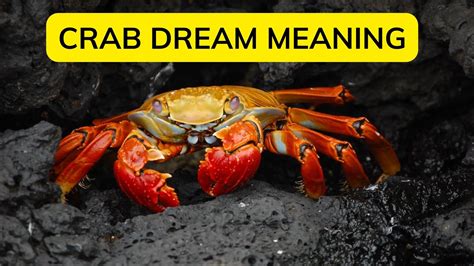 Exploring the Significance of a Dream featuring a Massive Crab for Men