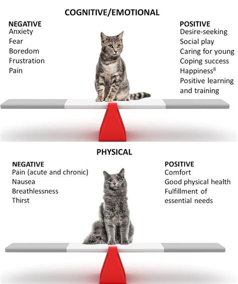 Exploring the Significance of a Reverie: A Feline accompanied by Offspring