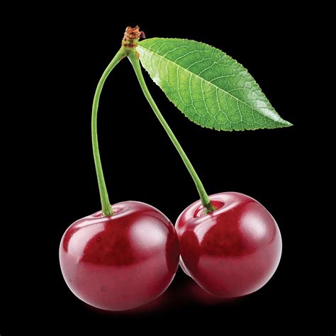 Exploring the Significance of the Immature Cherry as a Symbol of Optimism