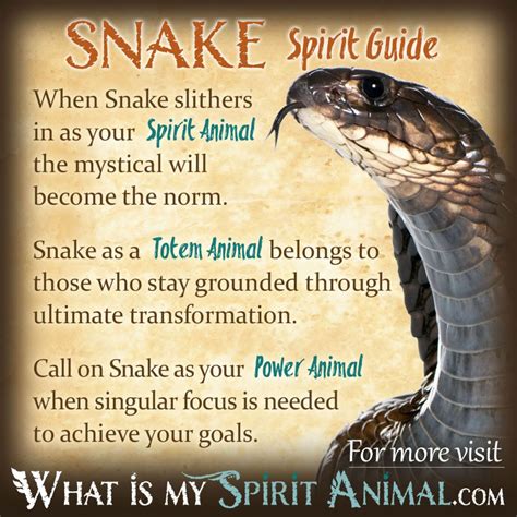 Exploring the Size and Characteristics of the Serpent in Your Vision