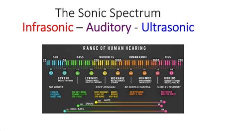 Exploring the Sonic Spectrum: A Thorough Guidance to Comprehend Headphone Sound Characteristics