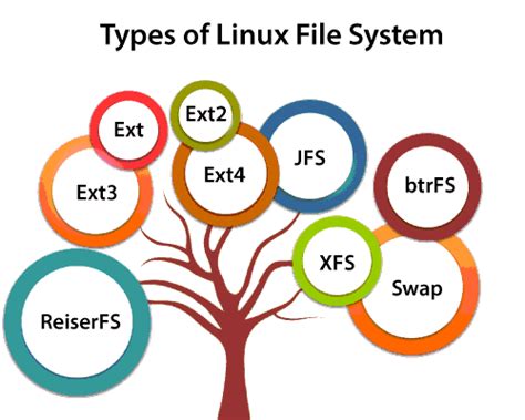 Exploring the Structure of the Linux File System