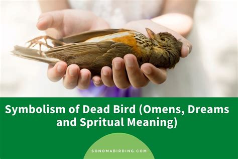 Exploring the Symbolic Importance of Avian Figures in Dream Interpretation